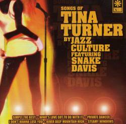 Tina Turner : Songs of Tina Turner by Jazz Culture (ft. Snake Davis)